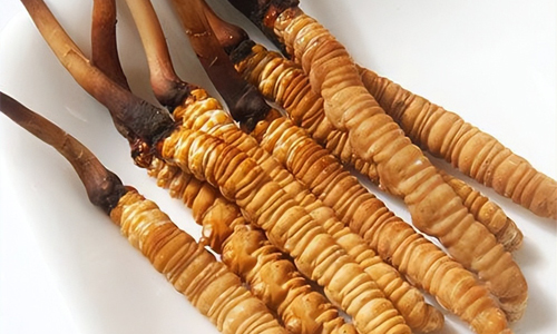 冬蟲(chóng)夏草的吃法，冬蟲(chóng)夏草的家常做法