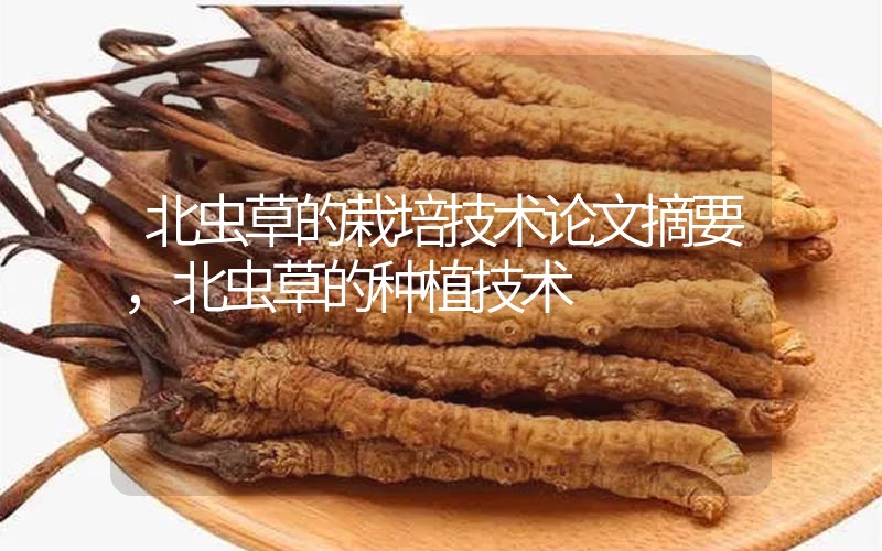 北蟲草的栽培技術(shù)論文摘要，北蟲草的種植技術(shù)