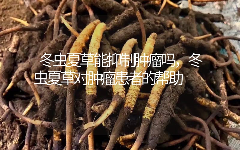 冬蟲(chóng)夏草能抑制腫瘤嗎？冬蟲(chóng)夏草對(duì)腫瘤患者的幫助