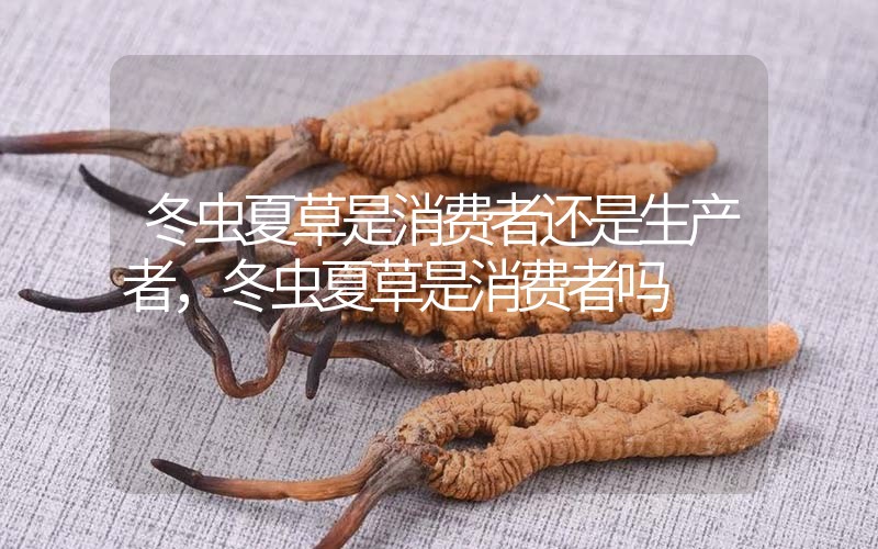 貧血吃冬蟲(chóng)夏草有效果嗎，貧血虛弱者可以用冬蟲(chóng)夏草嗎？