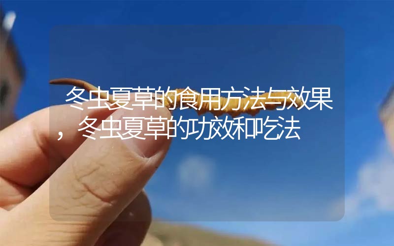 冬蟲(chóng)夏草的食用方法與效果，冬蟲(chóng)夏草的食用方法！