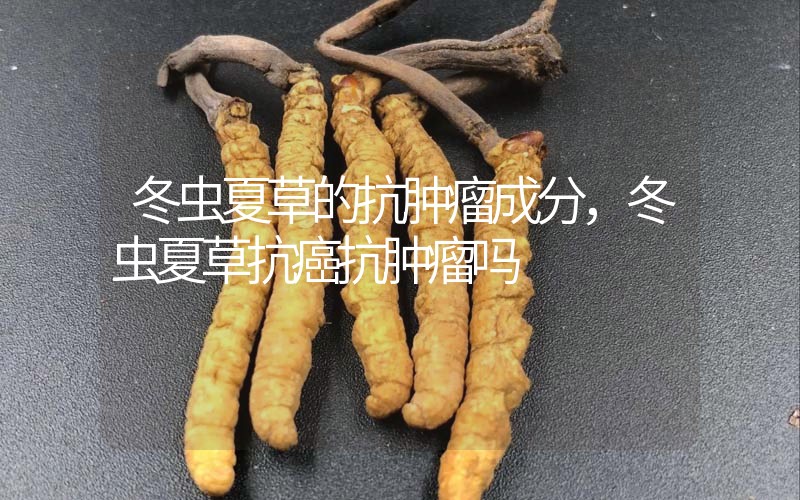 冬蟲(chóng)夏草的抗腫瘤成分，冬蟲(chóng)夏草抗癌抗腫瘤嗎？
