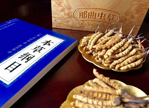 冬蟲(chóng)夏草真就那么好嗎？它的主要功能是什么呀