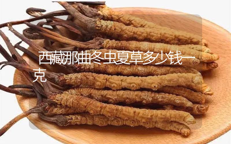 西藏那曲冬蟲夏草多少錢一克？