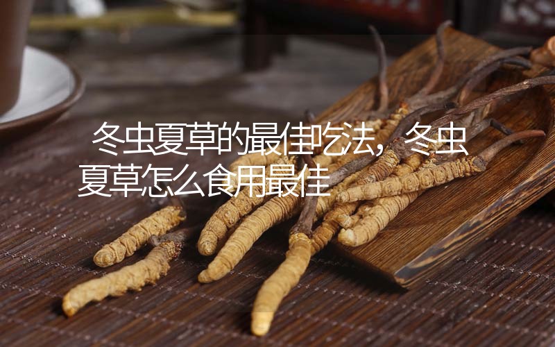 冬蟲夏草的最佳吃法，冬蟲夏草怎么食用最佳