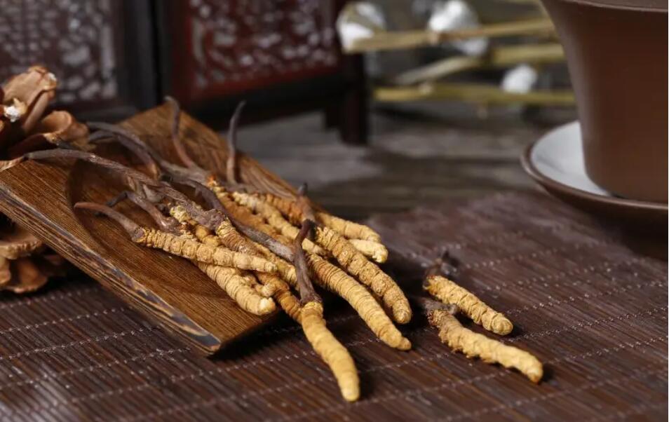 冬蟲夏草怎么選擇，冬蟲夏草選怎么樣的最好?