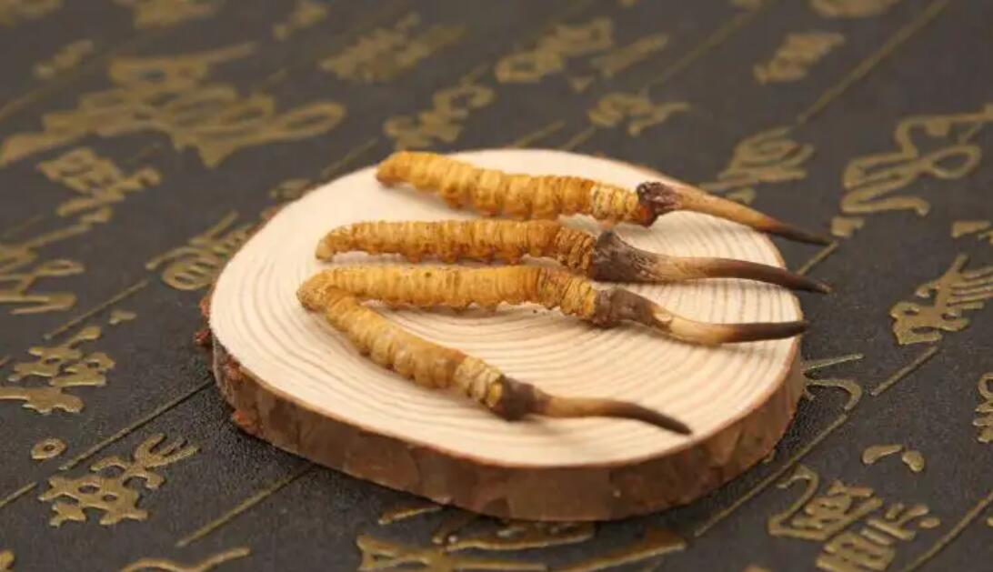 哪個產(chǎn)地的冬蟲夏草營養(yǎng)價(jià)值高