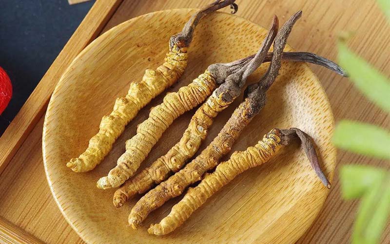 冬蟲(chóng)夏草作用可以調(diào)節(jié)身體肝臟功能嗎？