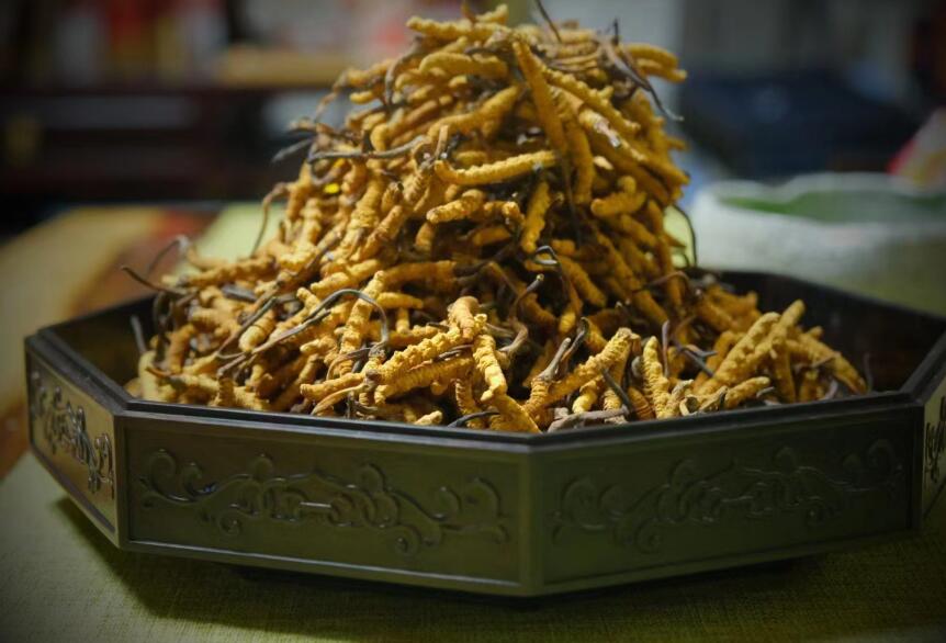 冬蟲夏草和燕窩混吃有什么好處