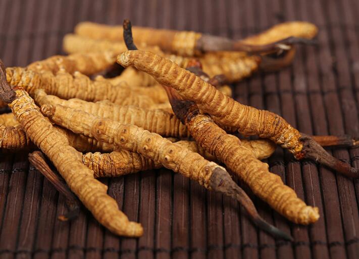 什么樣的冬蟲夏草算是優(yōu)質(zhì)的？