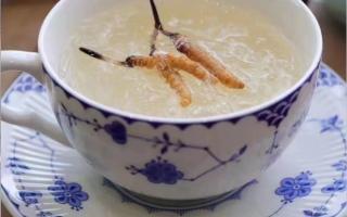 冬蟲夏草食用方法？蟲草燉燕窩？