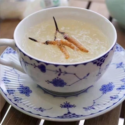 冬蟲(chóng)夏草和菜豆搭配的吃法