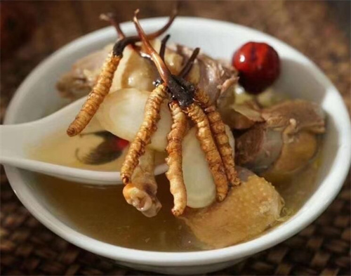 小孩子可以吃冬蟲夏草嗎？