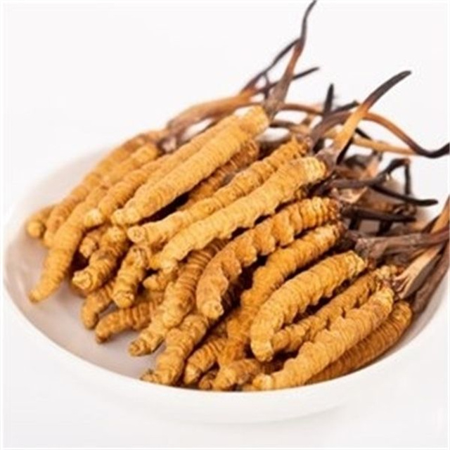 真的冬蟲(chóng)夏草什么價(jià)格？冬蟲(chóng)夏草價(jià)格的波動(dòng)與市場(chǎng)影響因素