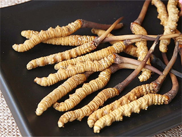 真的冬蟲(chóng)夏草什么價(jià)格？影響冬蟲(chóng)夏草價(jià)格波動(dòng)的3個(gè)關(guān)鍵因素