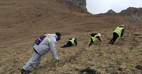 <a href=http://m.ioytjgh.cn/sdph/zf/ target=_blank class=infotextkey>珍峰冬蟲夏草</a>:源自世界屋脊的養(yǎng)生瑰寶