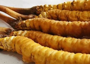 <a href=http://m.ioytjgh.cn/sdph/zf/ target=_blank class=infotextkey>珍峰冬蟲夏草</a>主要的銷售模式