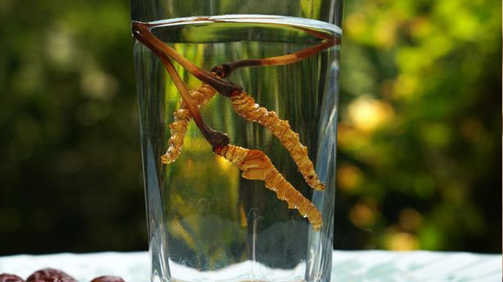 探秘五糧液冬蟲夏草酒價(jià)格:多維視角下的市場(chǎng)剖析