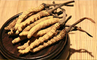 未來(lái)冬蟲夏草會(huì)漲價(jià)嗎？