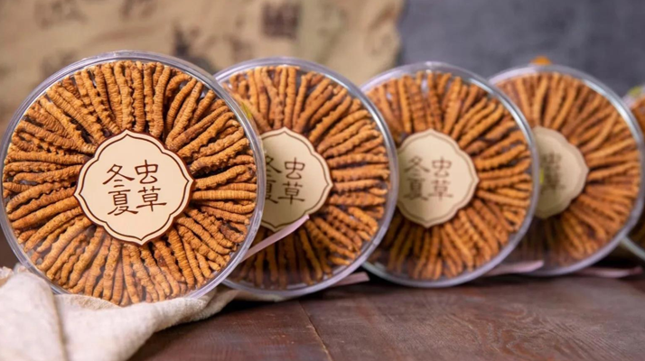 哪里能買(mǎi)到正宗的蟲(chóng)草