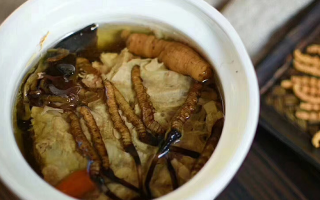 新鮮冬蟲夏草的食用指南：解鎖滋補新方式? ? ? ?