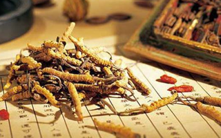 泥巴草與冬蟲(chóng)夏草：一文讀懂二者差異