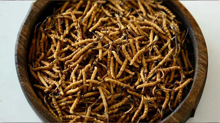 <a href=http://m.ioytjgh.cn/jiage/ target=_blank class=infotextkey>冬蟲夏草價格</a>探秘：多因素交織下的市場行情