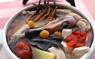 冬蟲夏草配什么煲湯好？營養(yǎng)美味的搭配指南