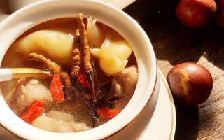 冬蟲(chóng)夏草與什么泡水喝？養(yǎng)生搭配指南