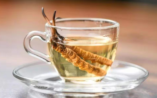 一杯蟲草水，健康新滋味：冬蟲夏草泡水喝的奇妙功效