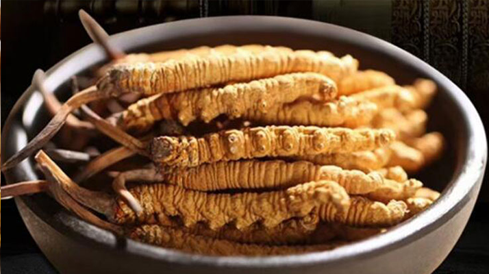 冬蟲夏草燉湯會(huì)上火嗎？科學(xué)解析滋補(bǔ)與上火的平衡之道