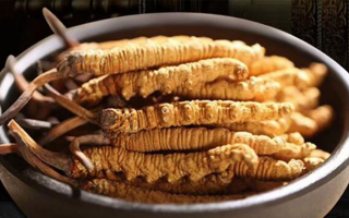 冬蟲夏草燉湯會(huì)上火嗎？科學(xué)解析滋補(bǔ)與上火的平衡之道