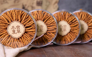 同仁堂冬蟲夏草禮盒：珍稀饋贈，品質(zhì)之選