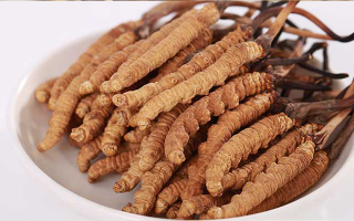 冬蟲夏草燉水鴨，搭配這些食材更滋補