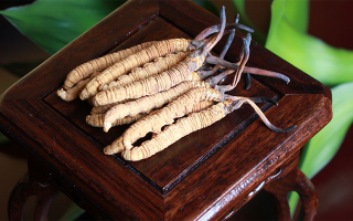 冬蟲(chóng)夏草什么地方買(mǎi)最好