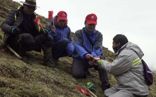 冬蟲夏草：把握最佳采摘季，守護自然饋贈
