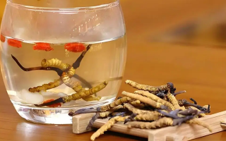 長期喝冬蟲夏草泡水好嗎？科學(xué)分析與飲用指南