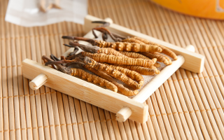 冬蟲夏草怎么燉比較好？解鎖營養(yǎng)不流失的燉煮指南