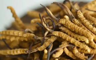 孕婦如何服用冬蟲(chóng)夏草？安全滋補(bǔ)指南