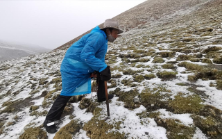 西藏挖冬蟲夏草在什么時候？產(chǎn)區(qū)與時間全攻略