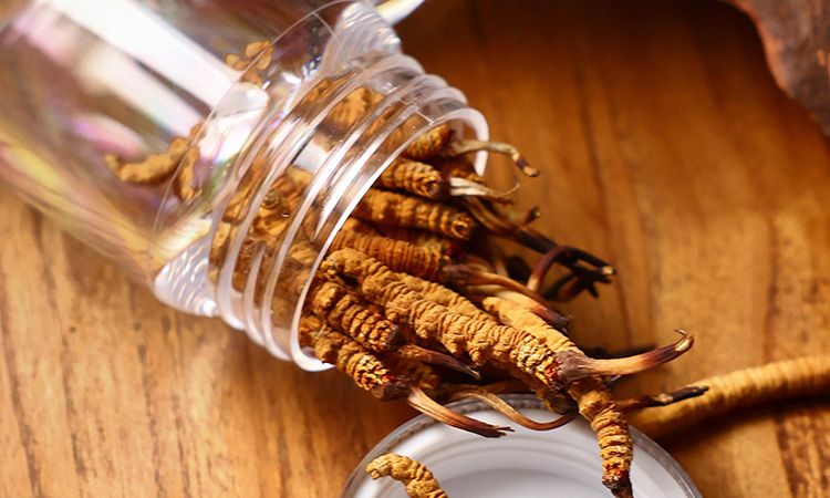 <a href=http://m.ioytjgh.cn/jiage/ target=_blank class=infotextkey>冬蟲夏草多少錢</a>一條 