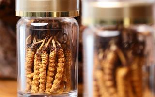 送冬蟲夏草給男孩子好嗎？分場景分析 + 送禮建議