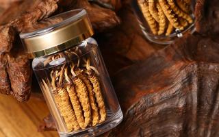 鮮冬蟲(chóng)夏草泡水后怎么保存？3 種場(chǎng)景保存方法 + 避坑指南