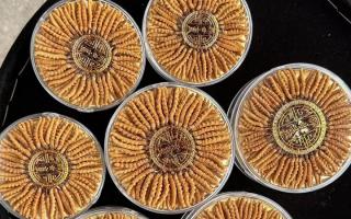 蟲草價格解密：從產(chǎn)地到市場的價值密碼