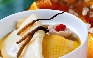 黃芪能和西藏那曲的冬蟲夏草一起燉嗎？