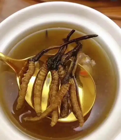 冰糖燉冬蟲夏草的做法，有什么功效?